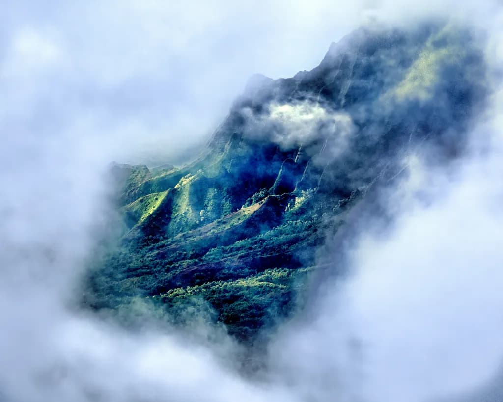 Afternoon Fog