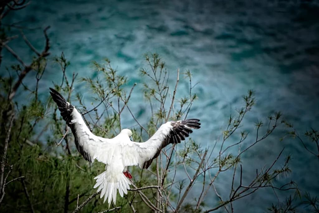 Guardian in Flight