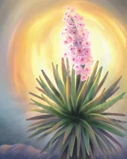 Becoming Radiant