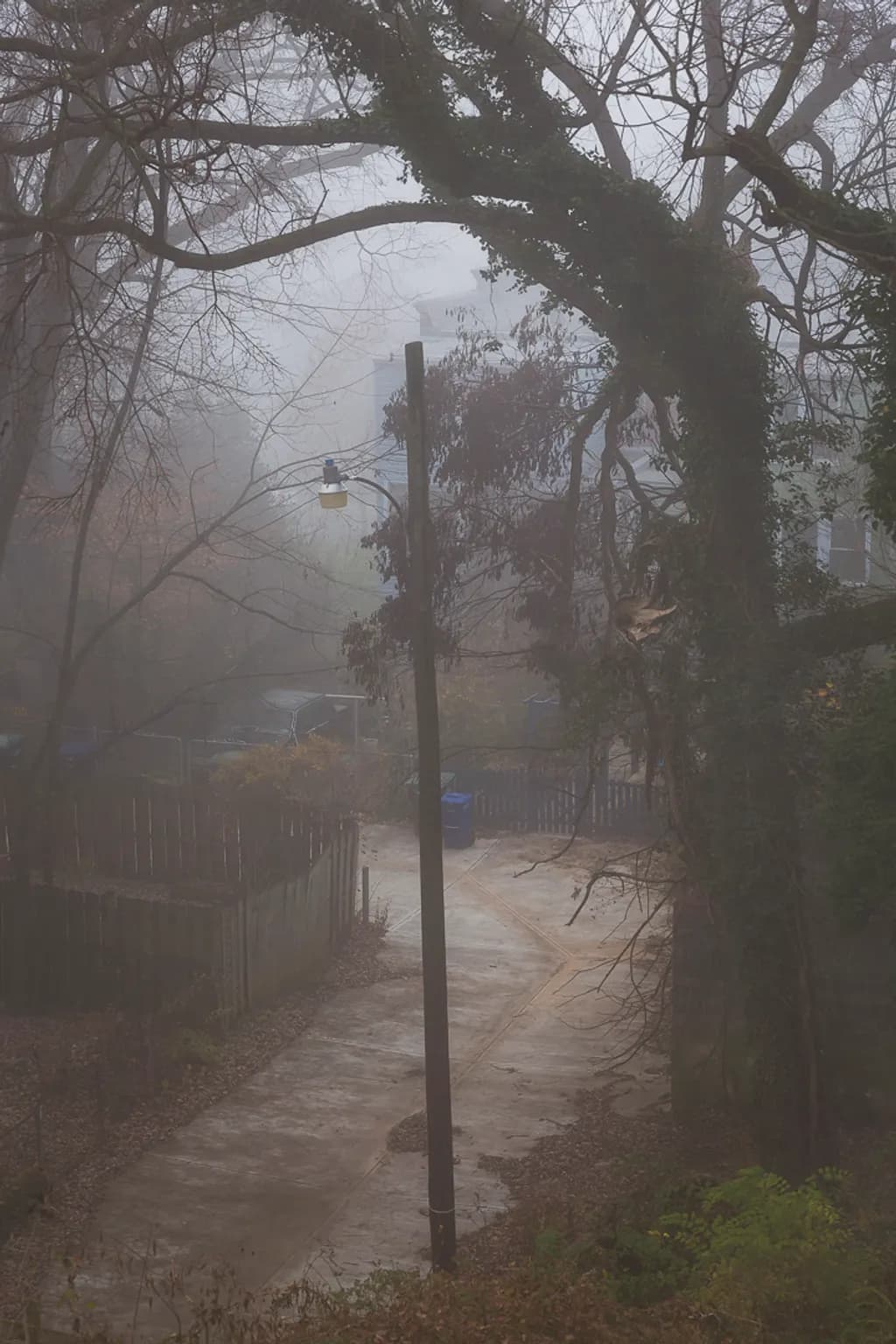 Foggy Neighborhood Path