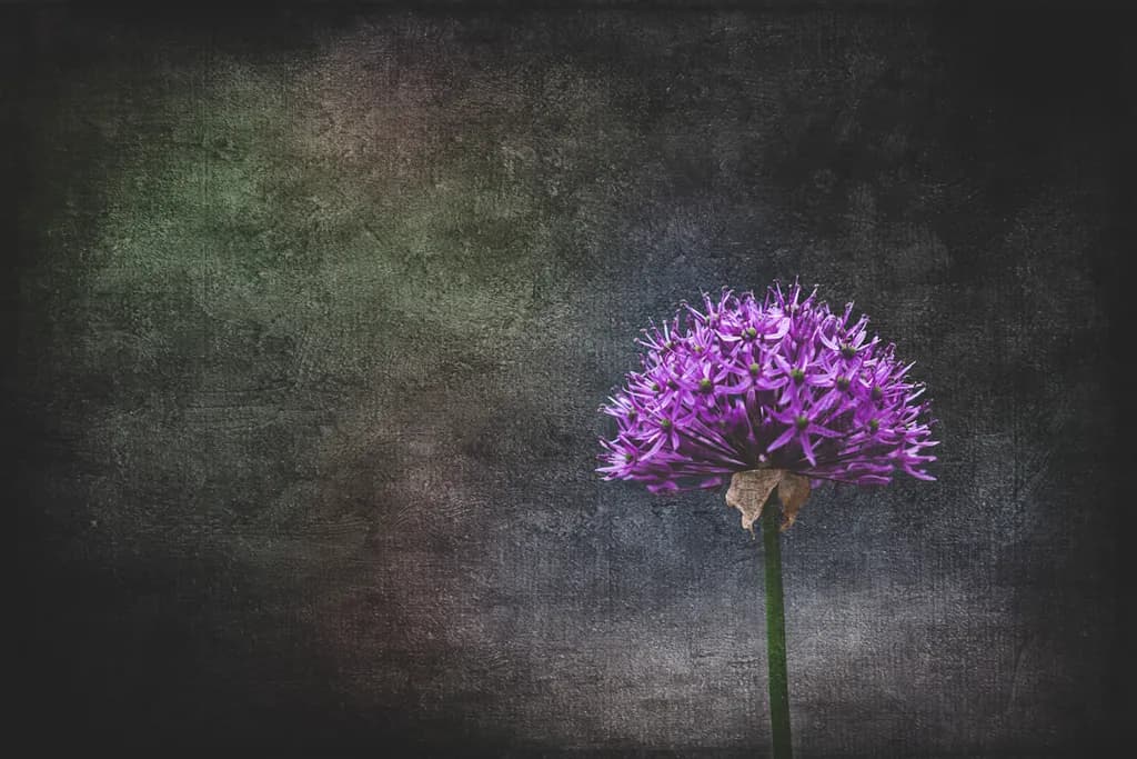 Neighborhood Flower