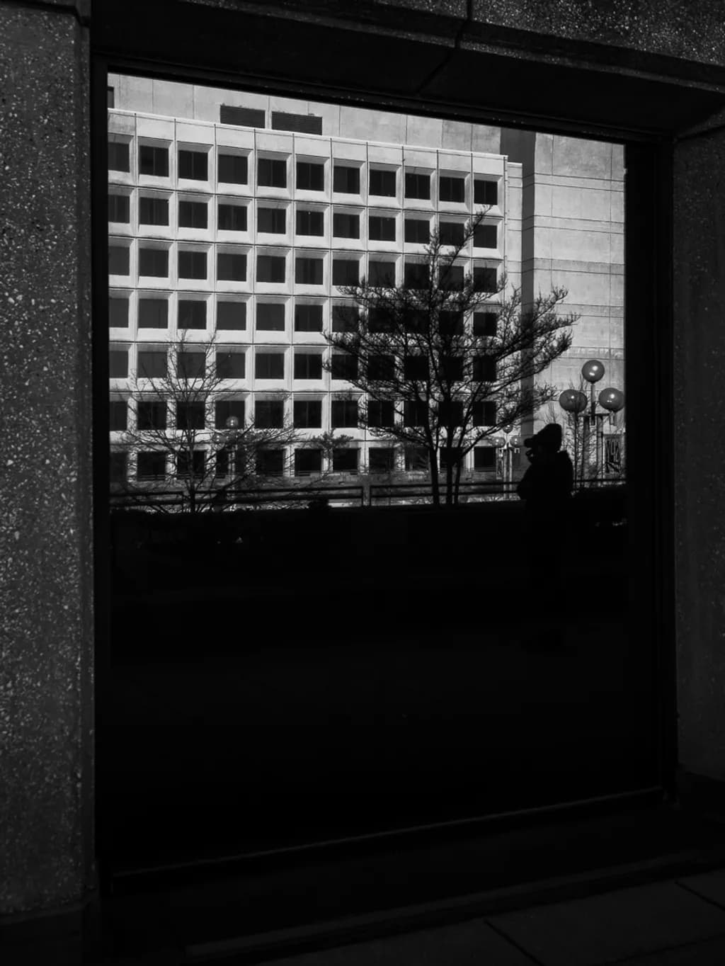 Brutalism and Nature Reflection