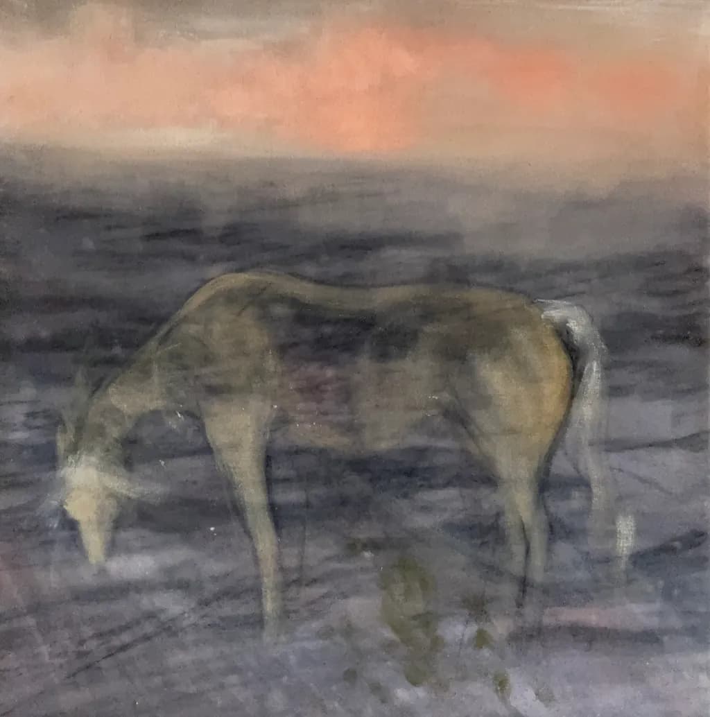 TRANSCENDING BOUNDARIES | GRAZING