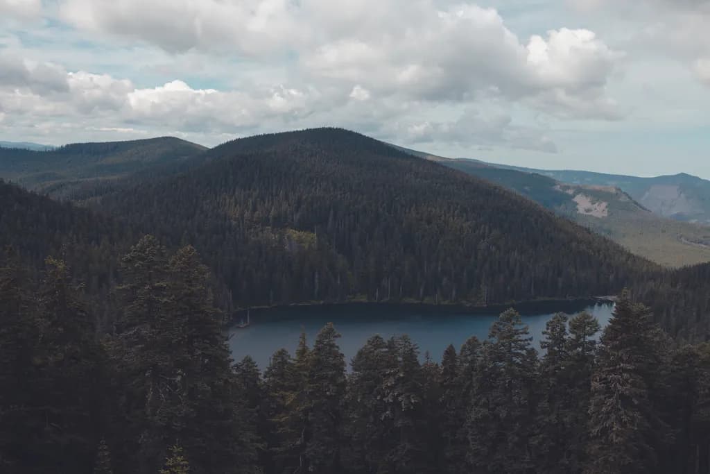 Whispers of the Wilderness: A Serene Lake Embraced by Majestic Pines