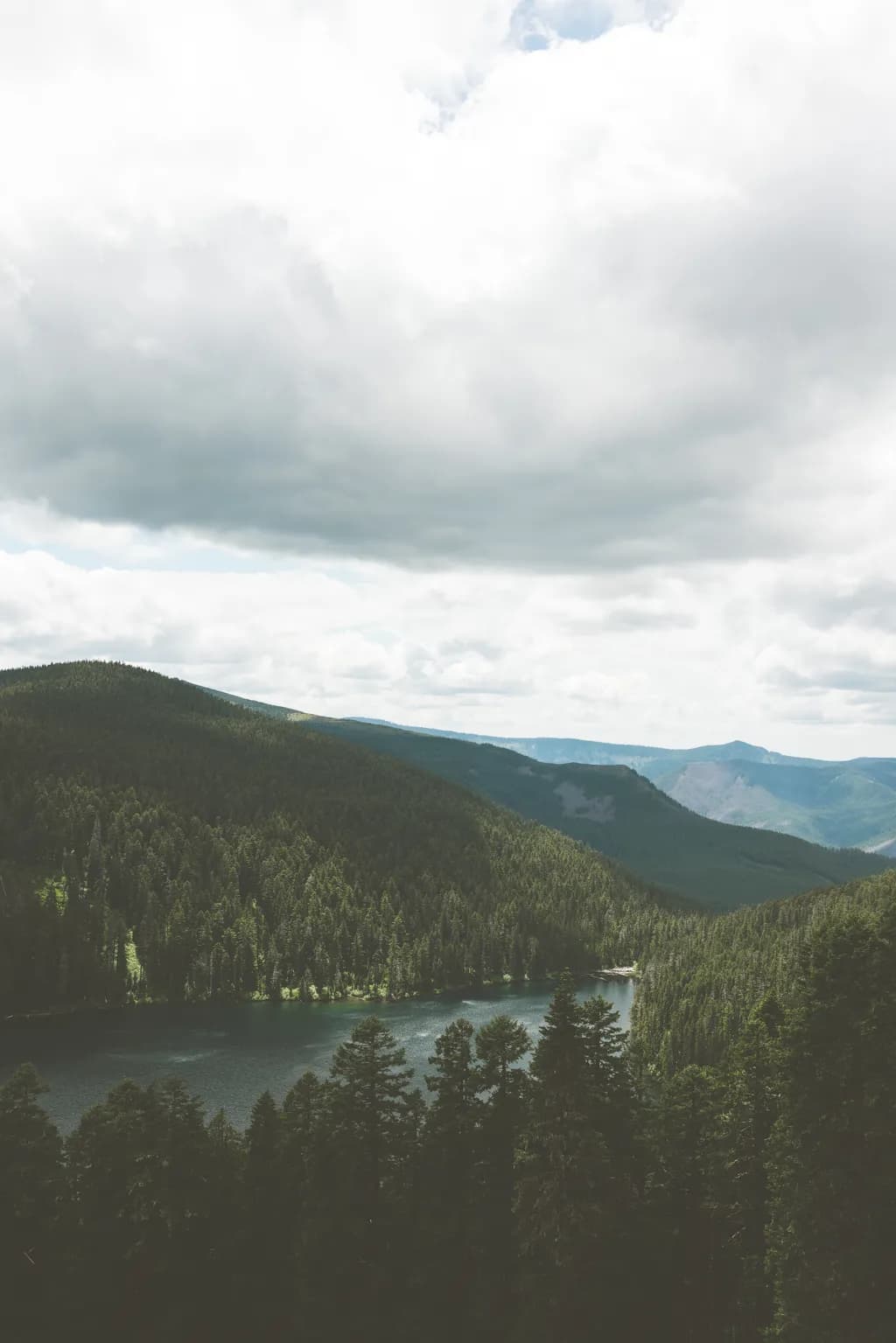 Whispers of Nature: A Serene Lake Embraced by Majestic Pines and Rolling Hills