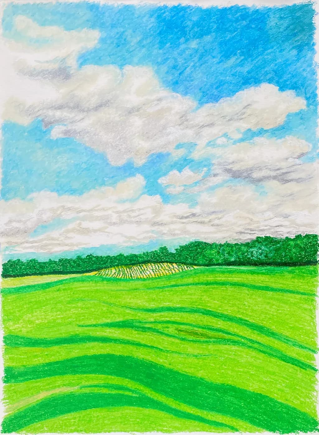 Whispers of Green: A Serene Landscape Under a Vast Sky