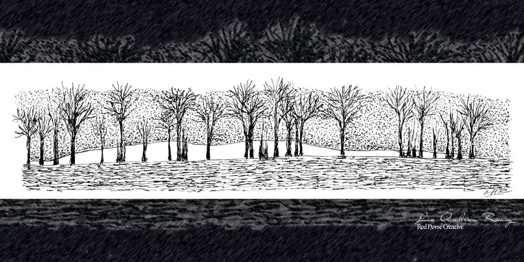 Whispers of Winter: A Serene Landscape of Bare Trees and Tranquil Waters