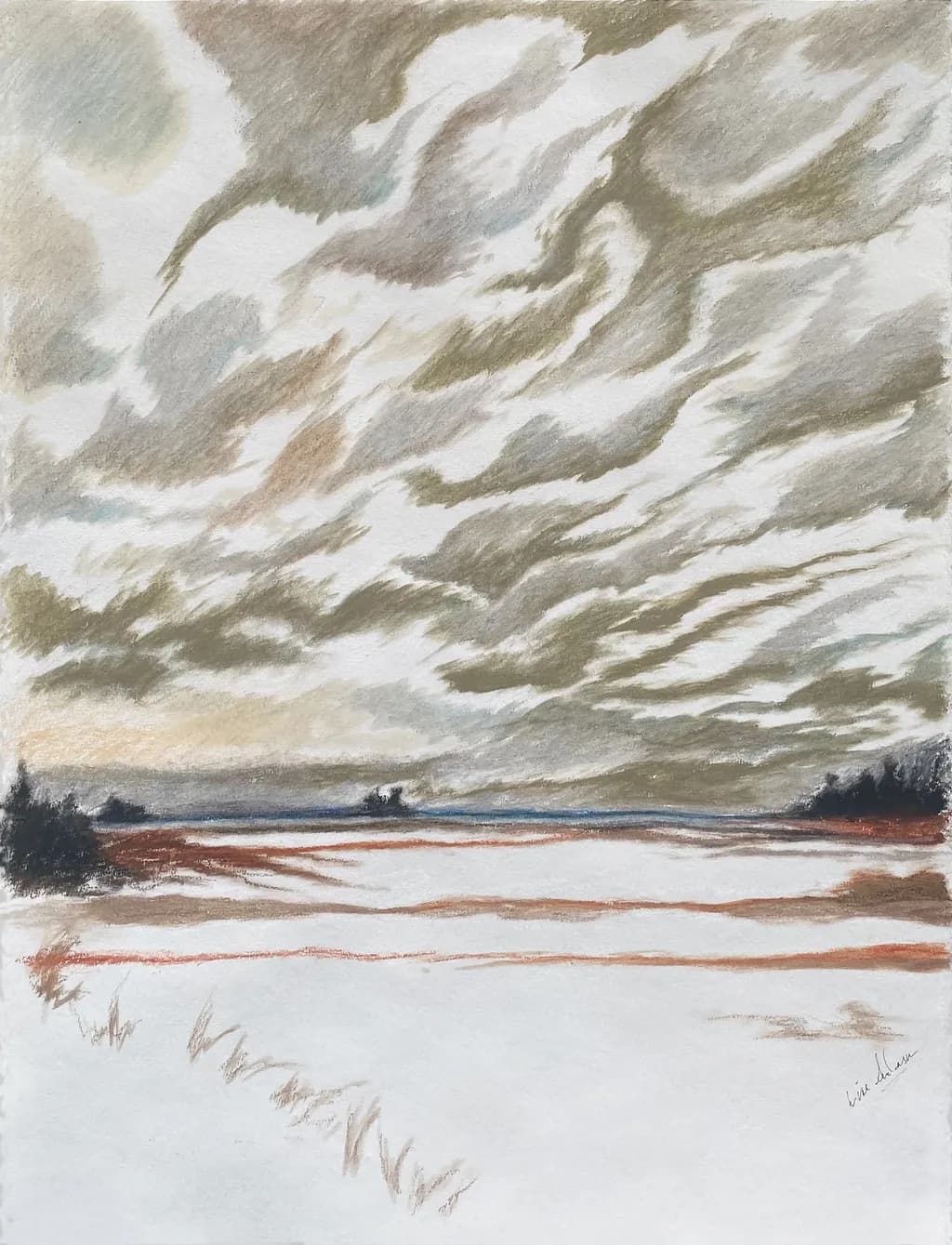 Whispers of Winter: A Serene Landscape Under Cloudy Skies