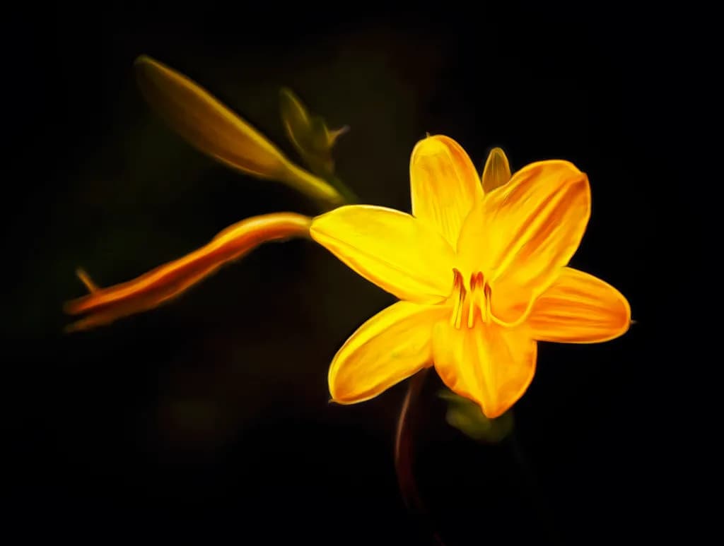 Ritratto di Narciso Giallo