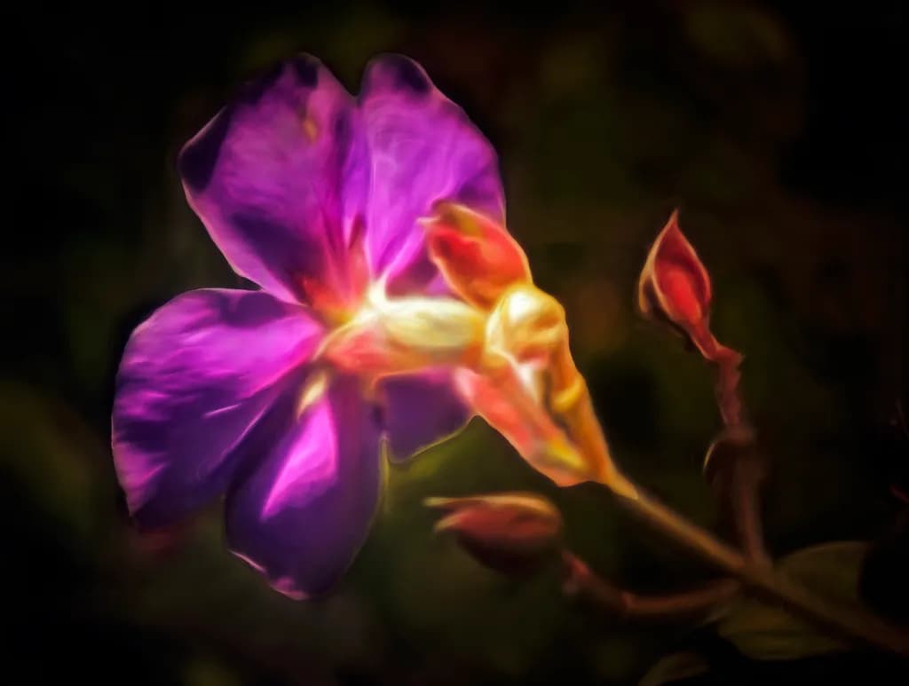Fiore Principessa Viola