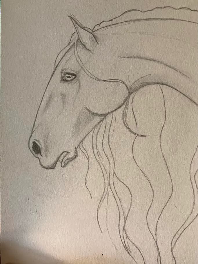 Ethereal Equine: A Study of Grace and Strength in Pencil Form