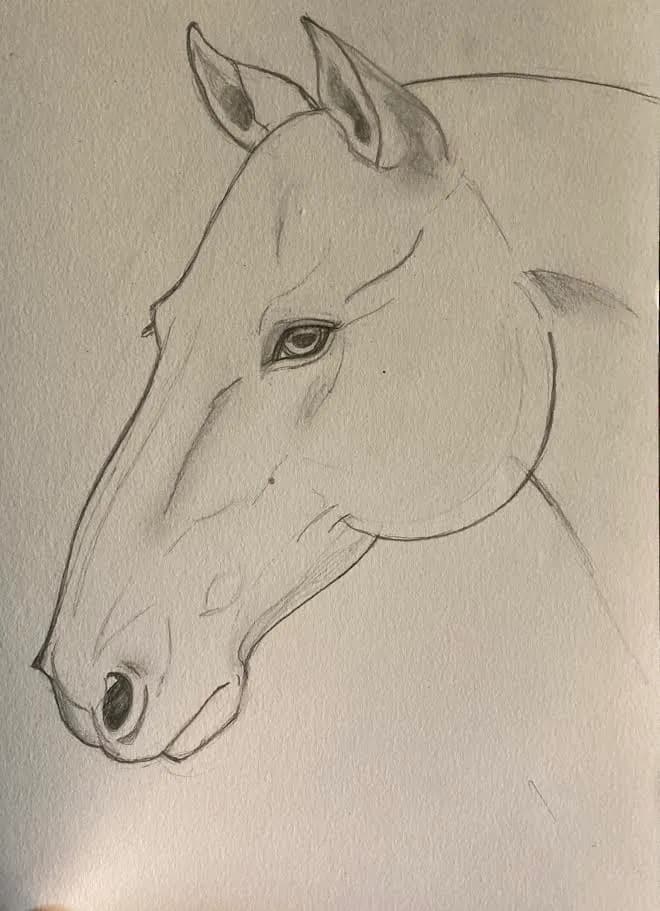 Equine Essence: A Conceptual Portrait of Strength and Grace in Sketch Form