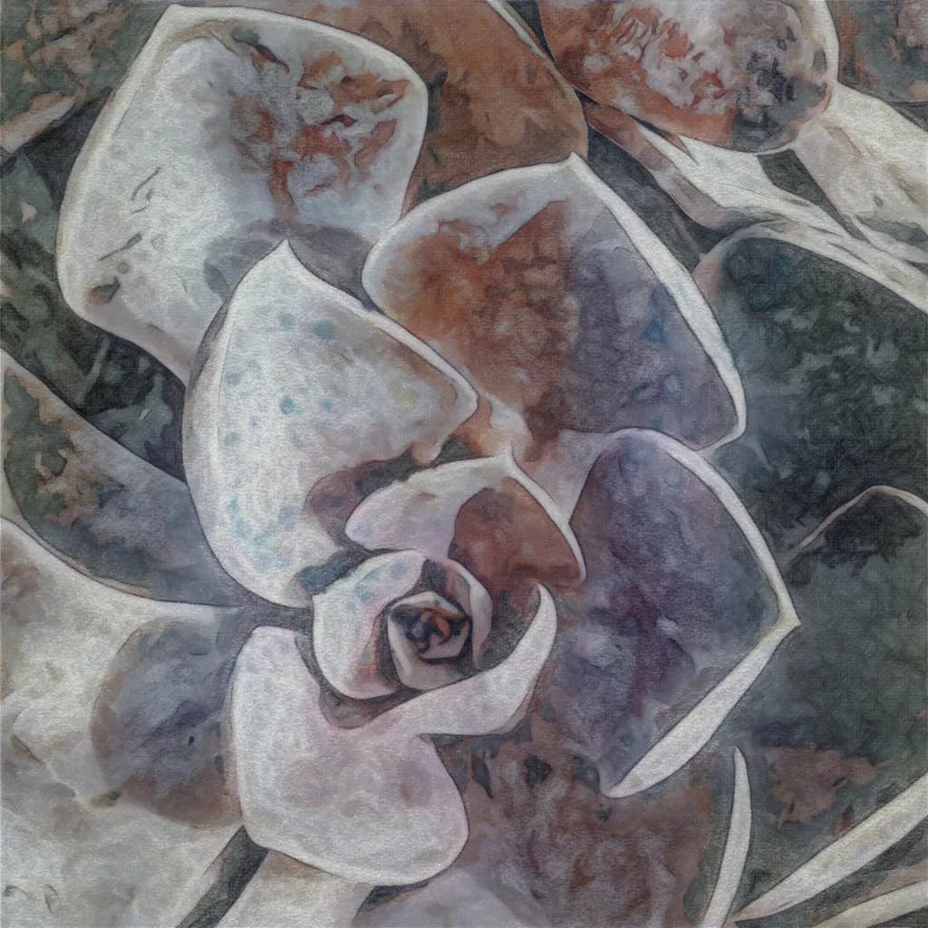 Whispers of Petals: An Abstract Dance of Delicate Colors and Textures