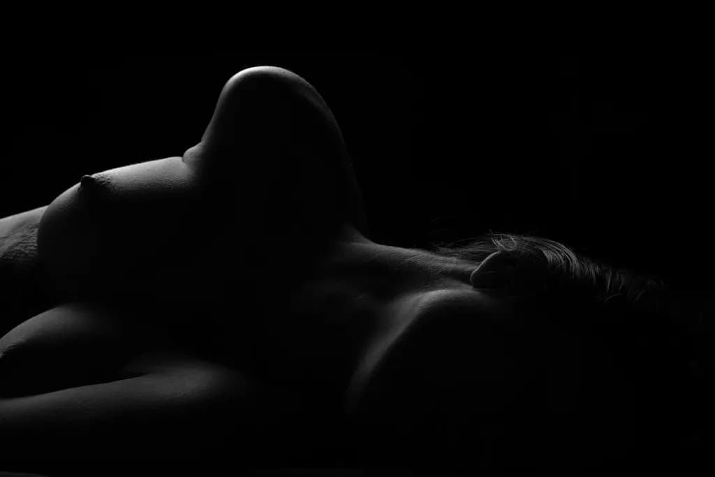 Ethereal Silhouettes: The Dance of Light and Shadow in Form and Texture
