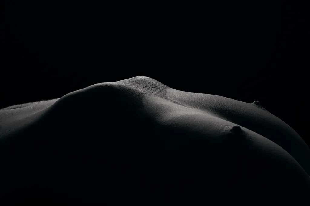 Ethereal Curves: A Study in Light and Shadow on the Human Form