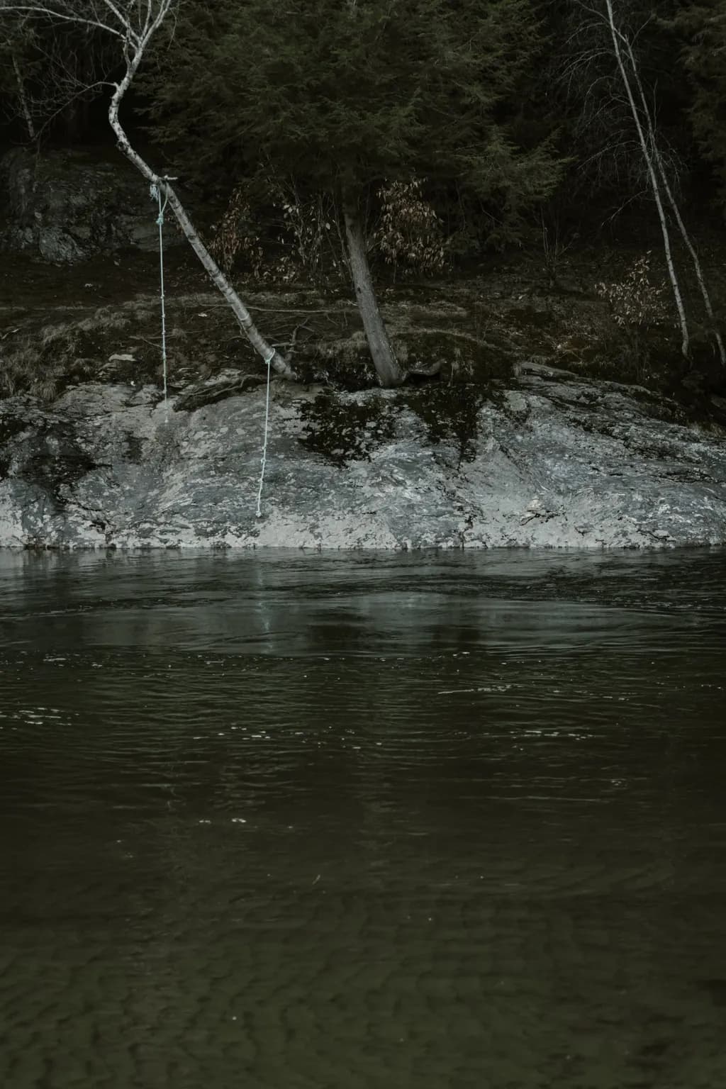 Whispers of Stillness: A Serene Reflection by the Water's Edge
