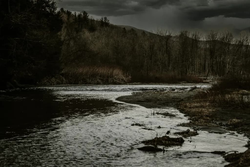 Whispers of the Dark River