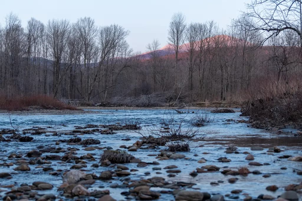 Twilight River Serenity
