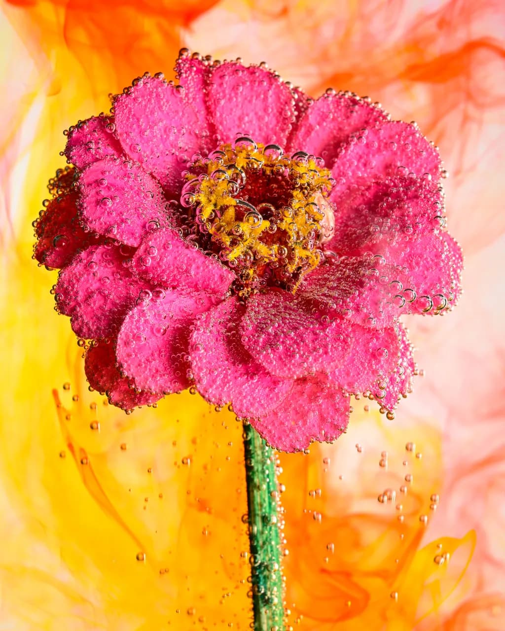 Bubbling Blossom