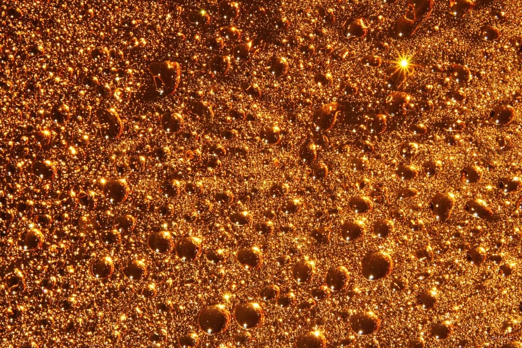 Golden Reflections