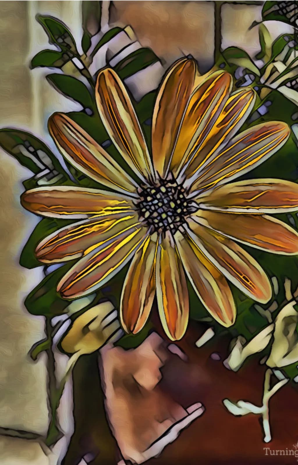 Golden Petals: A Vibrant Dance of Nature's Beauty