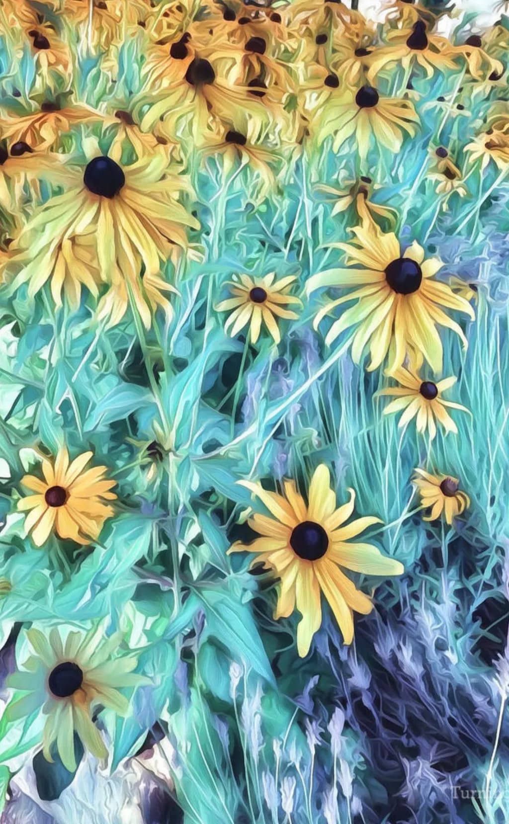 Golden Blooms: A Whimsical Dance of Black-Eyed Susans in a Dreamy Landscape