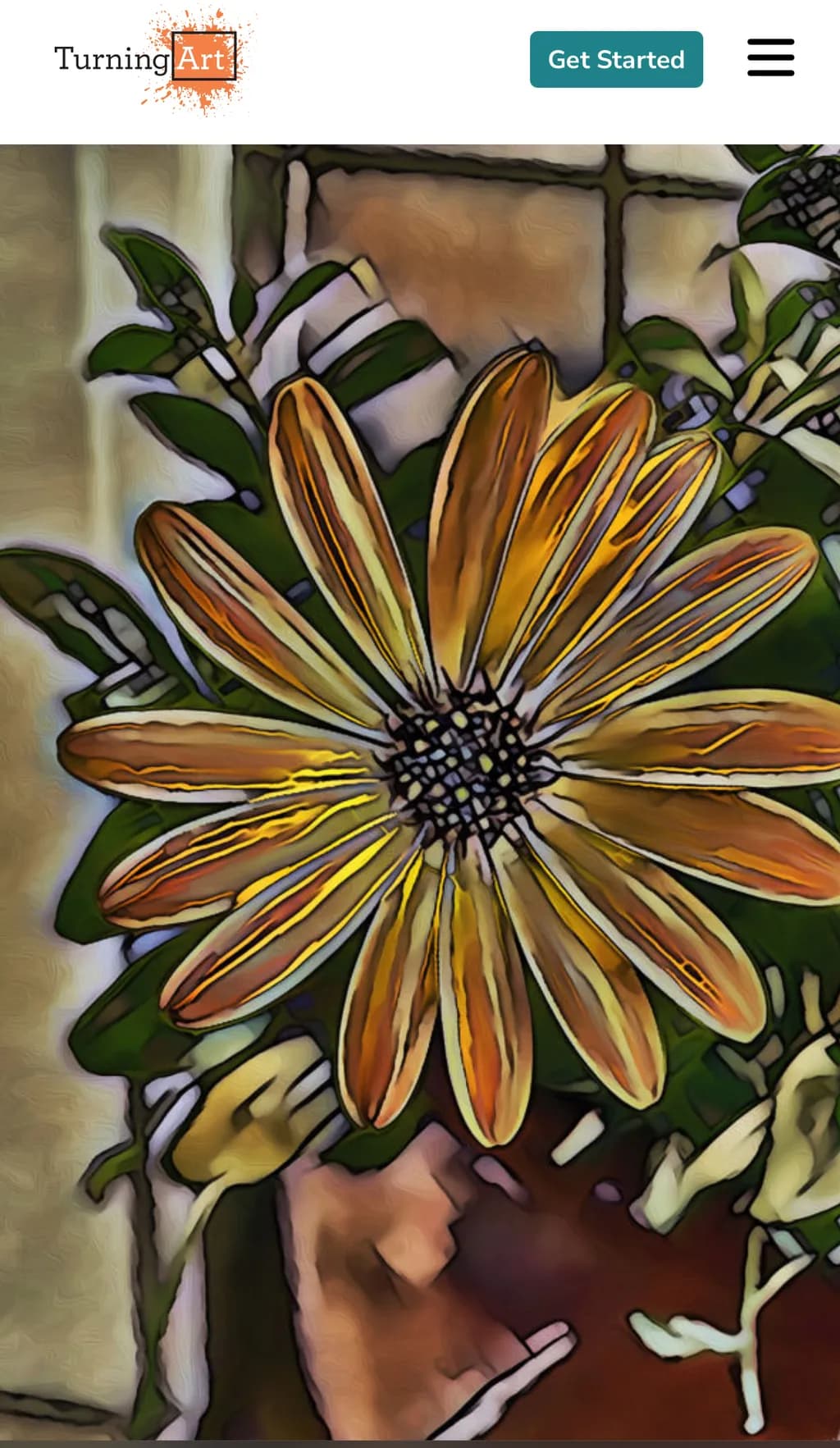 Vibrant Blossom: A Dance of Nature's Colors in Botanical Artistry