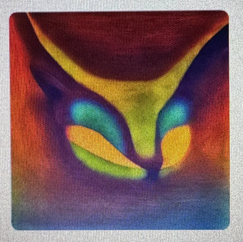 Whispers of Color: A Mystical Feline Encounter in Vibrant Hues