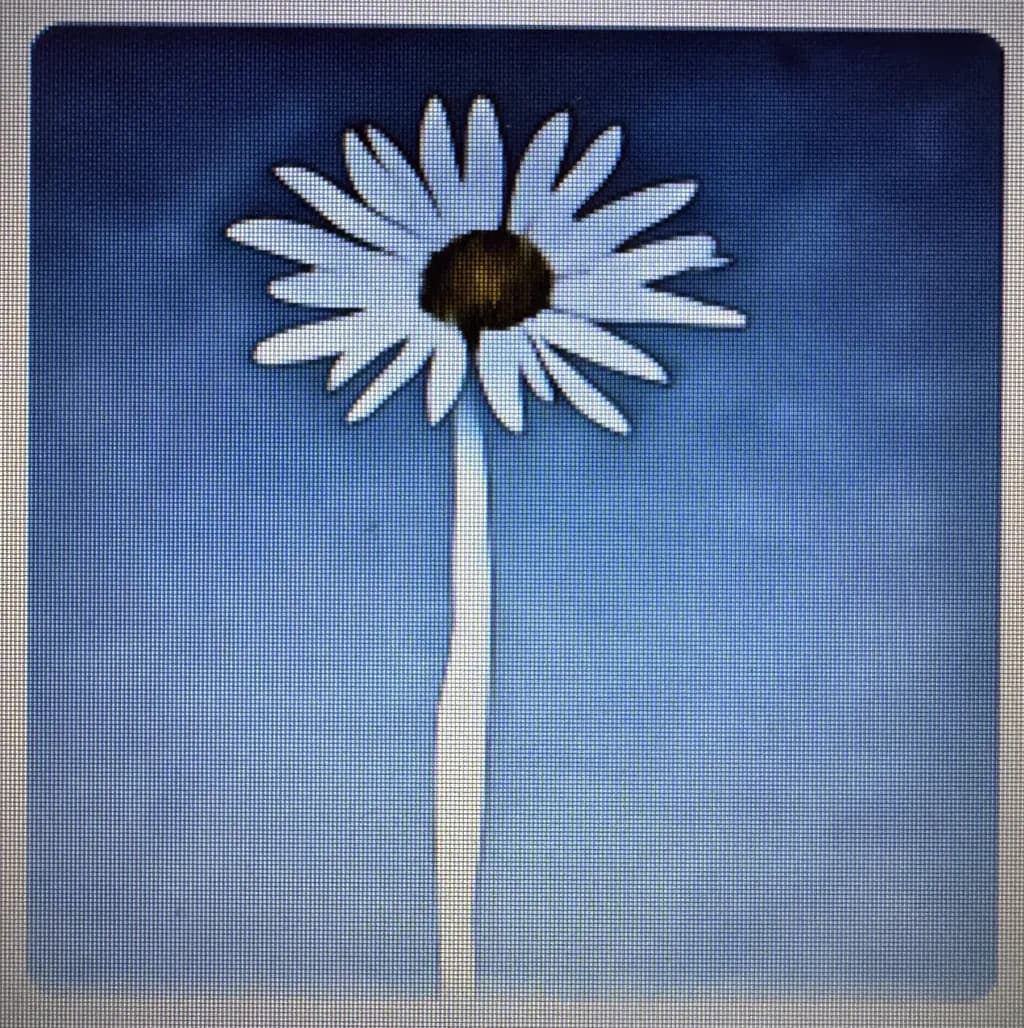 Whispers of Spring: A Solitary Daisy Against the Sky