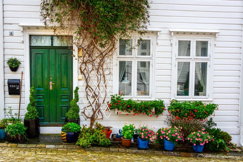 Charming Greenery: A Quaint Invitation to Tranquility in Architecture