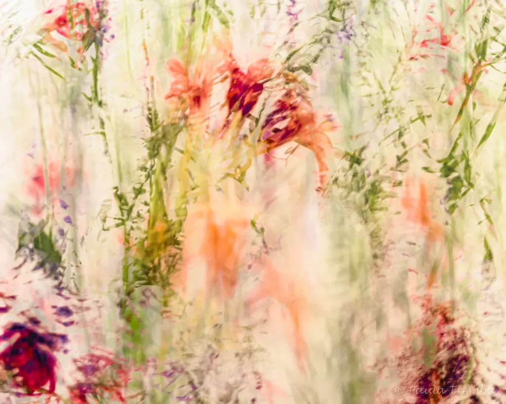Garden Dreams