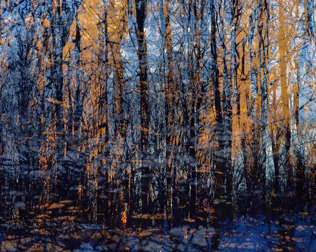Dance of Dusk