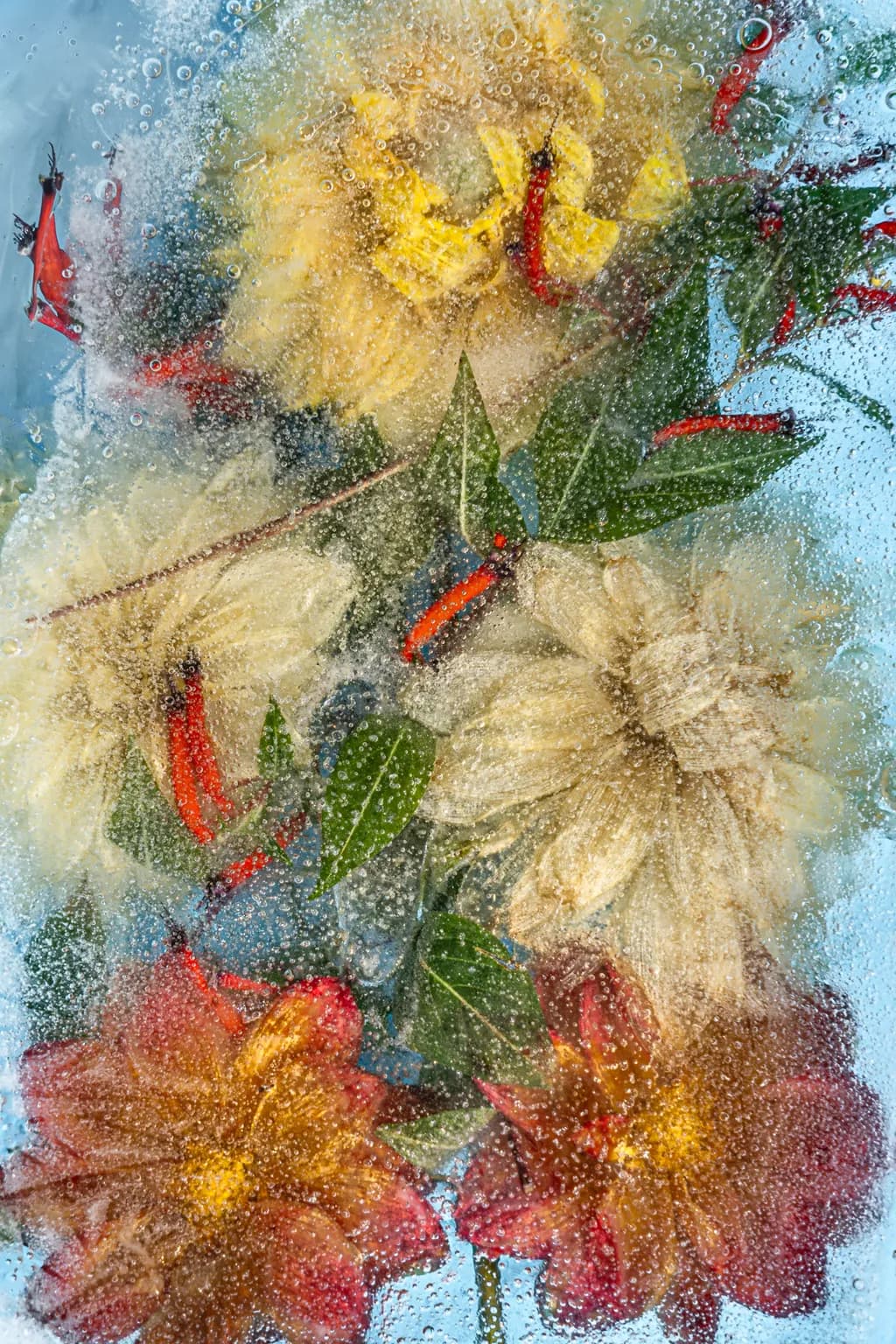 Floral Fantasy