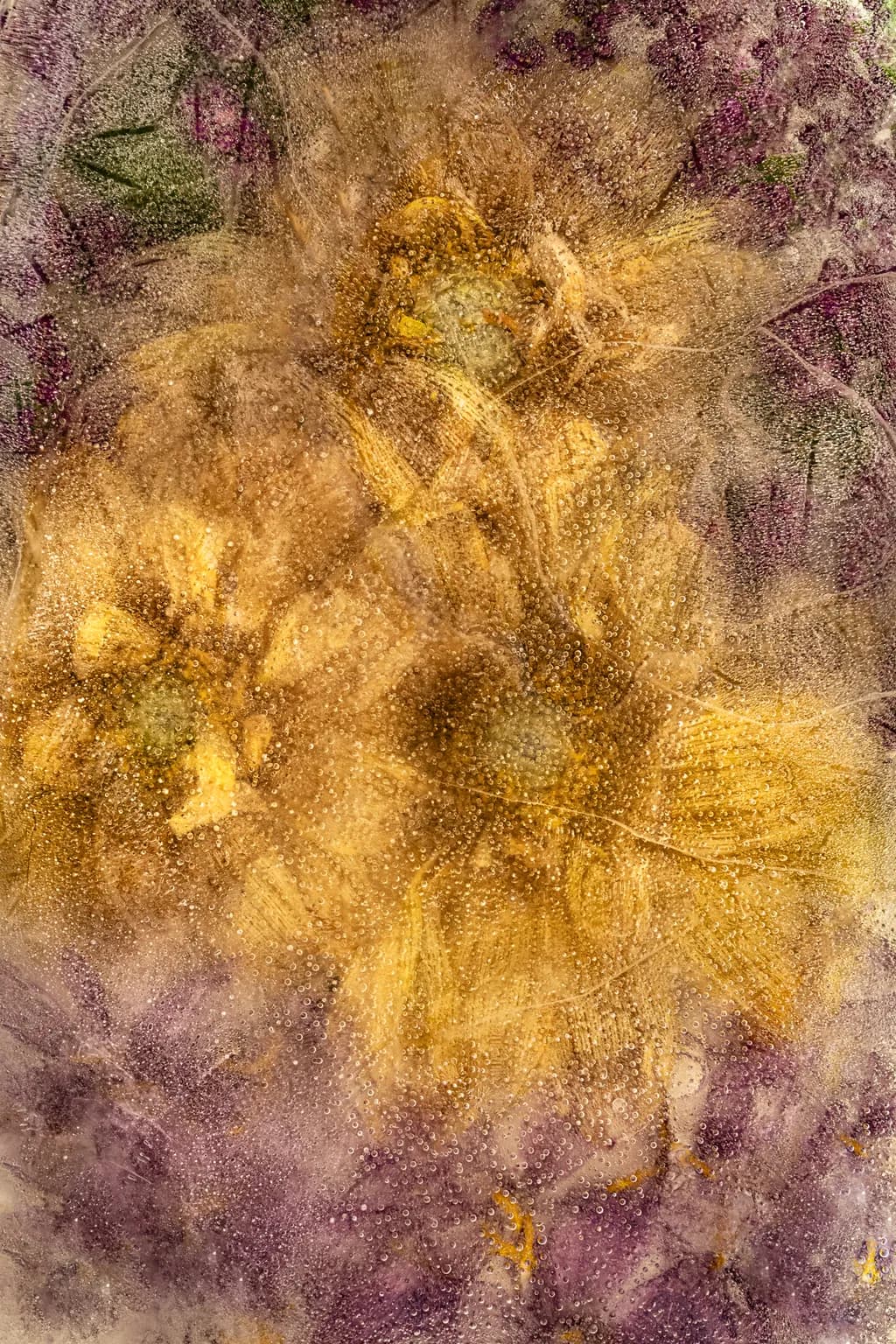 Fleeting Moments