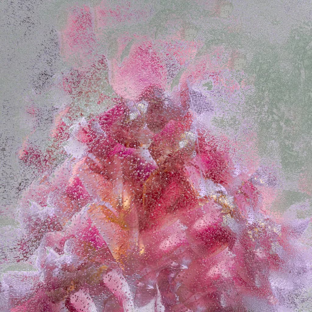 Floral Dance