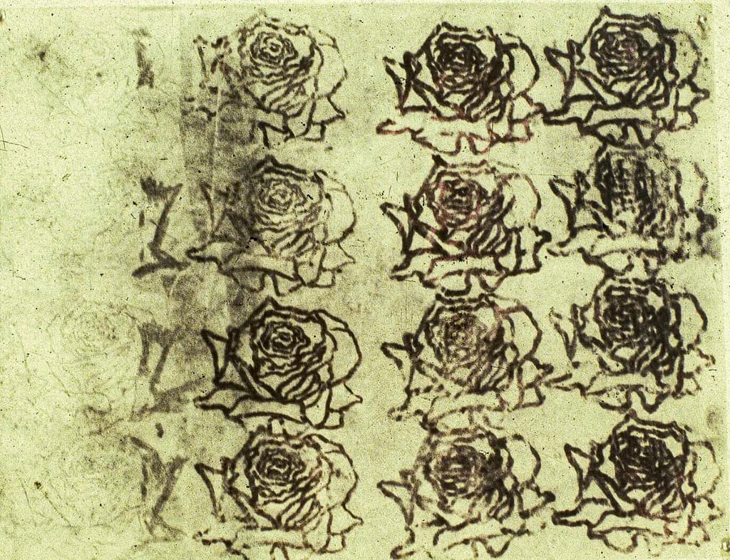 Rose Impressions