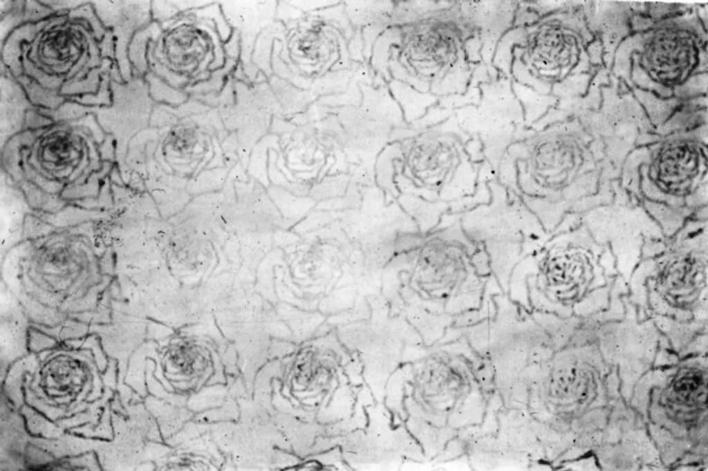 Rose Pattern Play