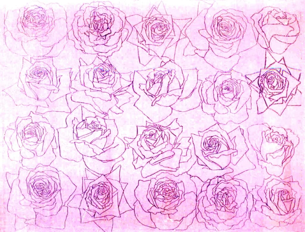 Surrendering Roses