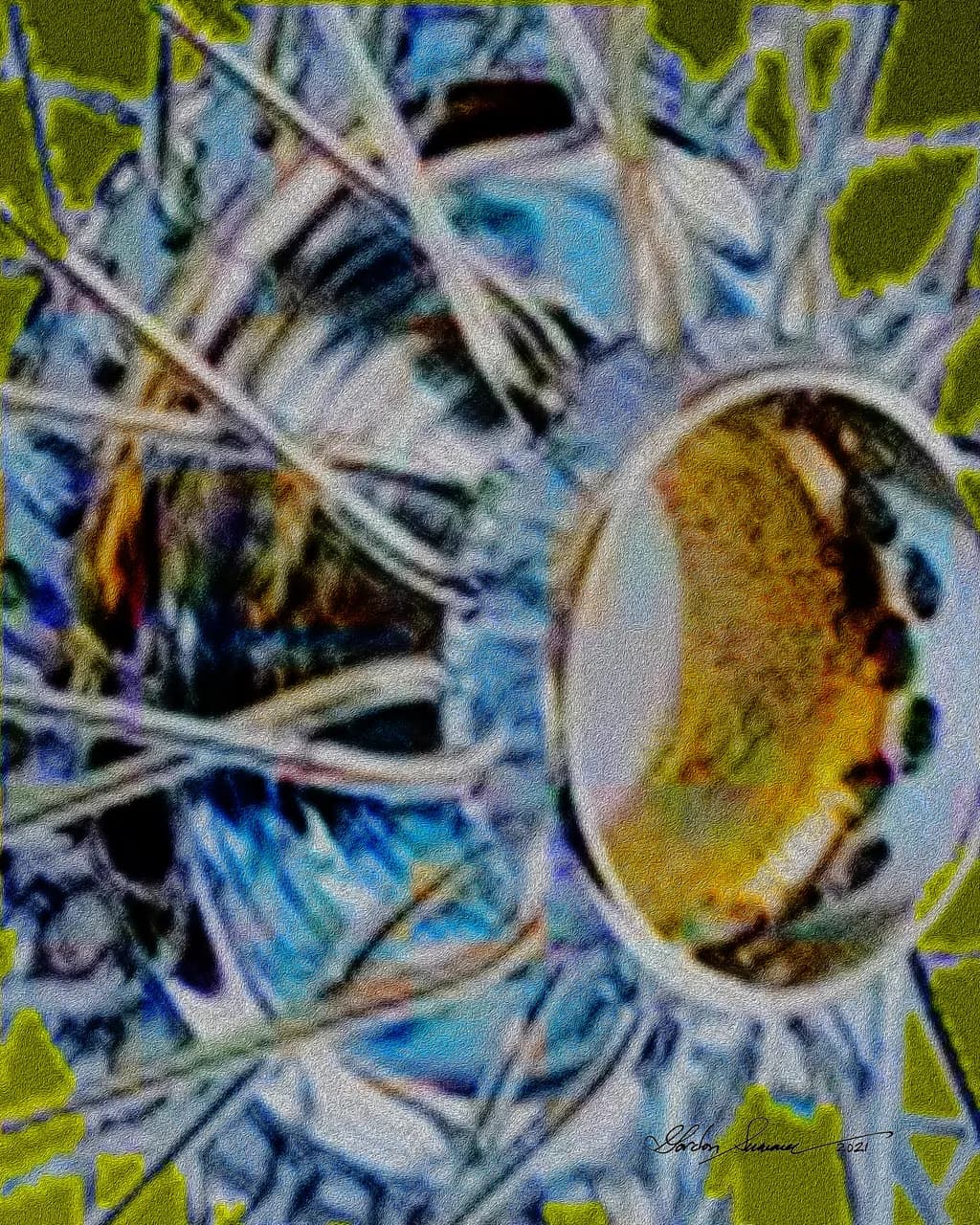 Whispers of Color: An Abstract Journey Through Light and Form