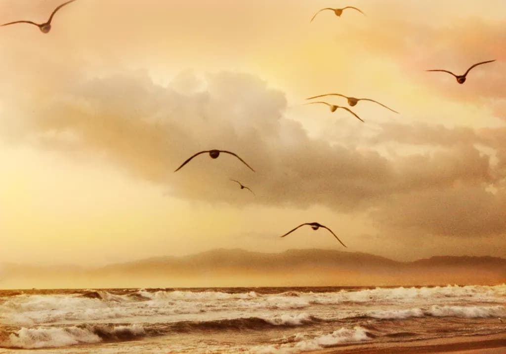 Golden Flight