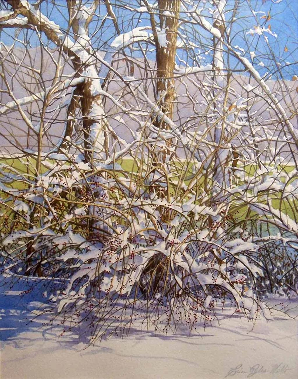 Winter Berries