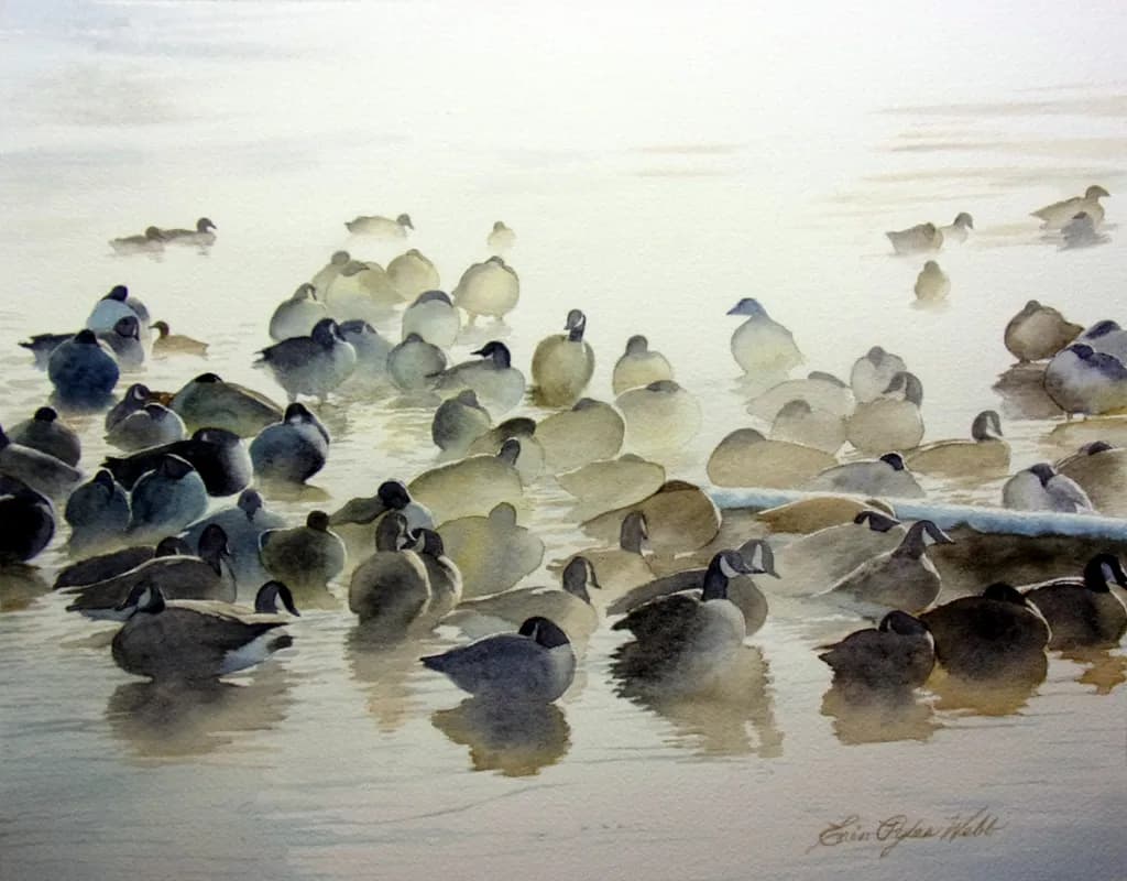 Waterfowl Gathering
