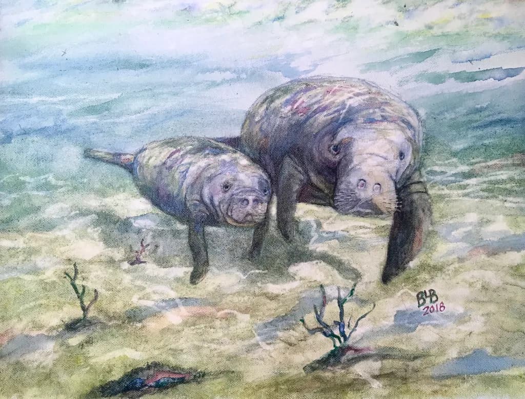 Manatee Duo