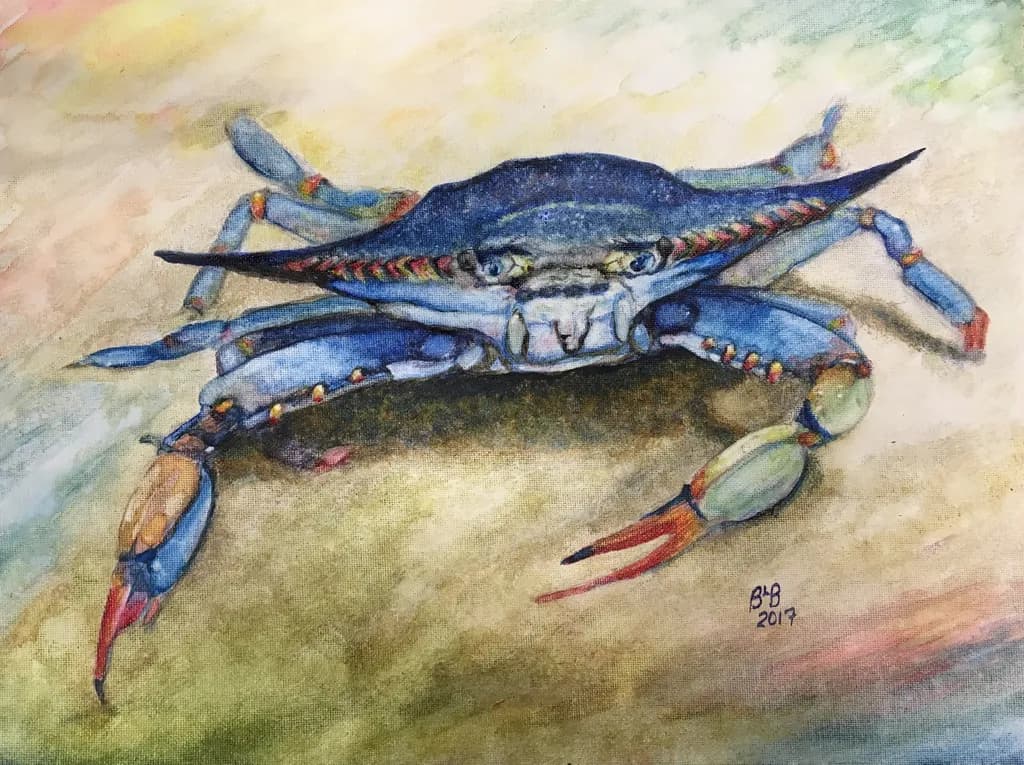 Blue Crab Delight