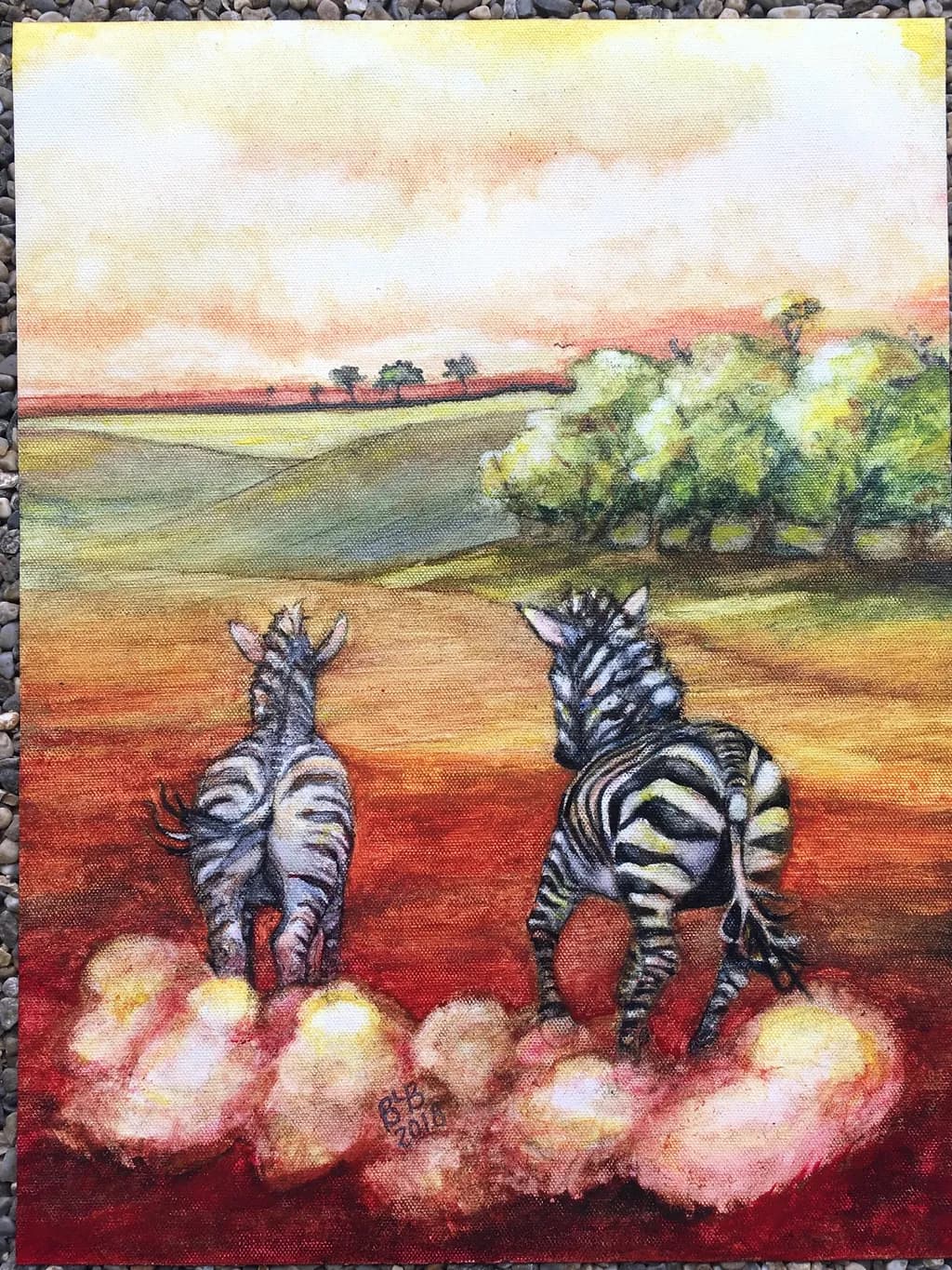 Zebra Journey