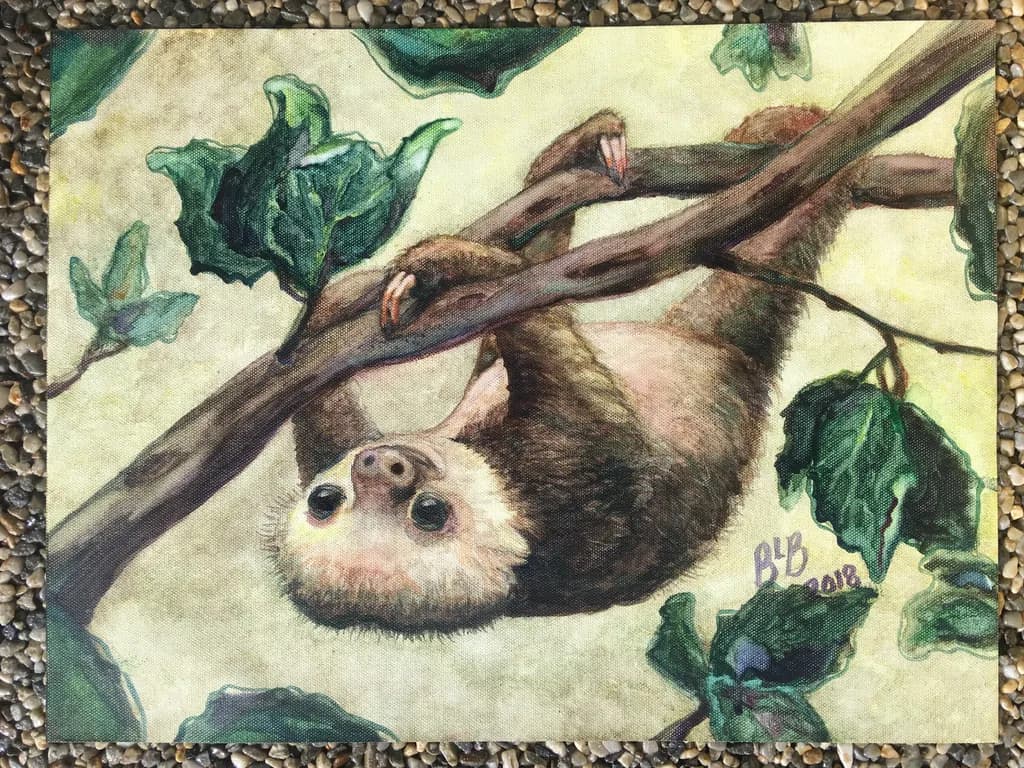 Sloth Serenity
