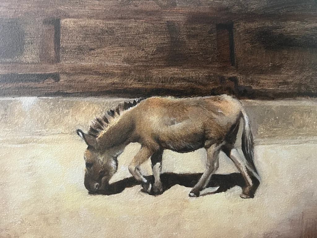 Sunlit Donkey