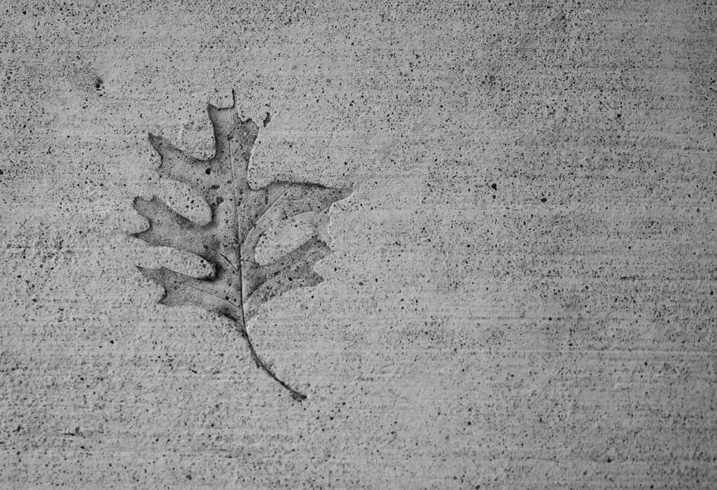 Etched in the Sidewalk