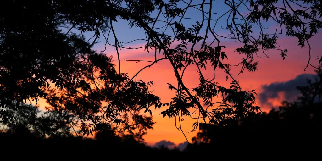 Sunset Over The Blanco