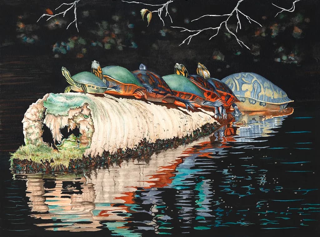 Turtle Train